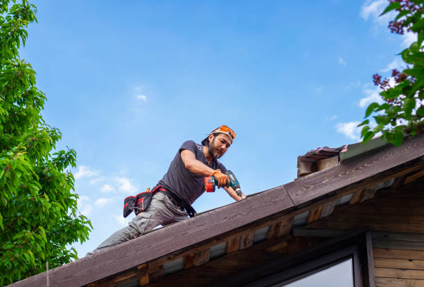Best Asphalt Shingle Roofing  in North Pekin, IL